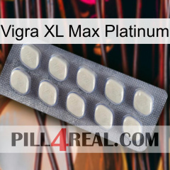 Vigra Xl Max Platinum 08